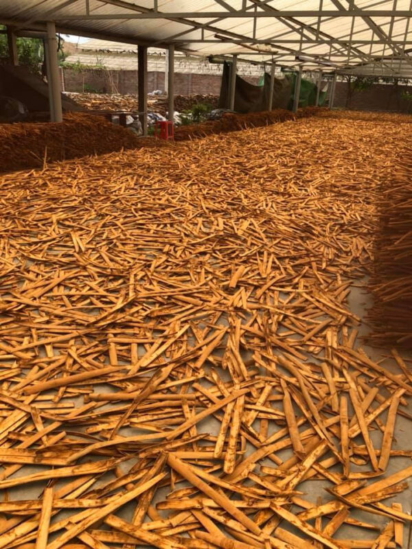 ceylon cinnamon powder