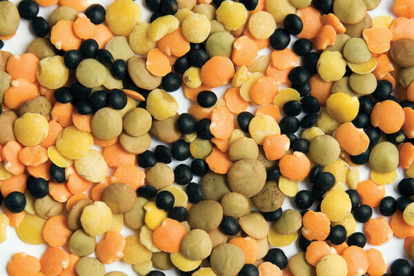 Chicken Scratch Lentil Blend