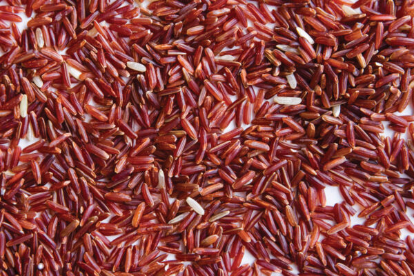 Himalayan Red Rice