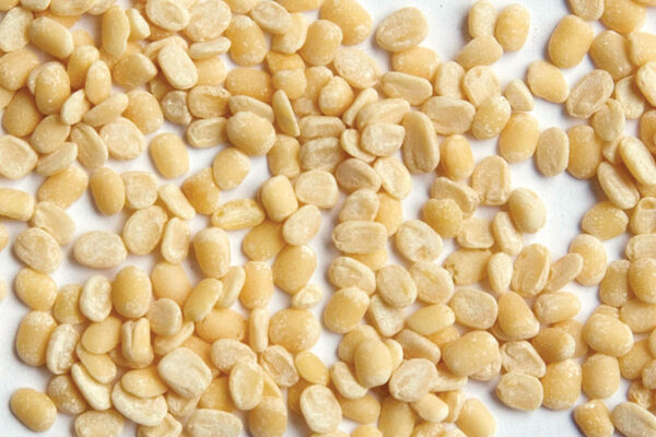 Ivory Lentil