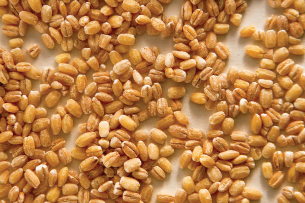 Pearl Barley