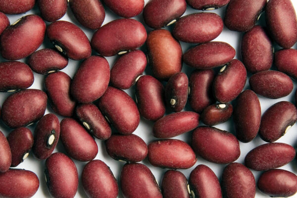 Small Red Beans
