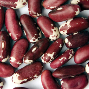 Trout Bean