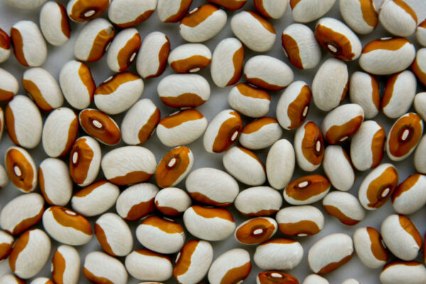 Yellow Eye Bean
